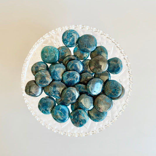 Apatite Mini Flat - Intuitively Chosen